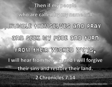2 Chronicles 7 14.jpg