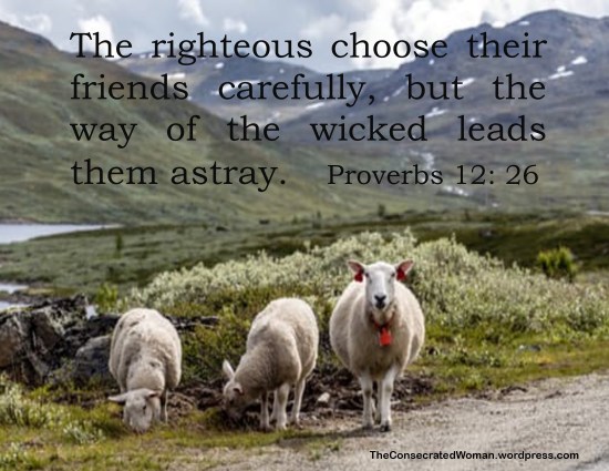 Proverbs 12 26