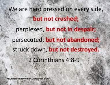 2 Corinthians 4 8-9.jpg