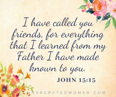 John 15 15