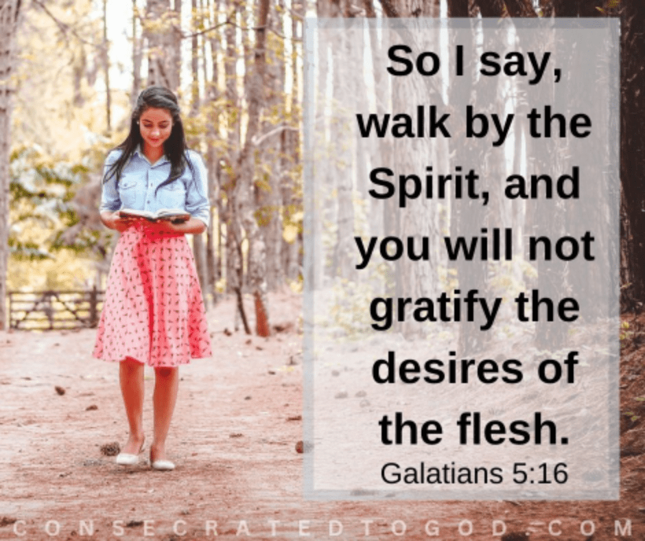 Walk by the Spirit
