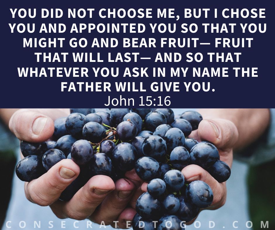 Go and Bear Fruit | CONSECRATED TO GOD